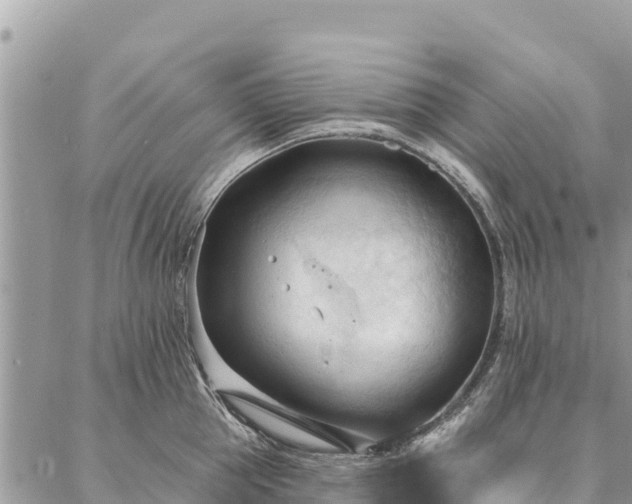 X0000086900953200704231150