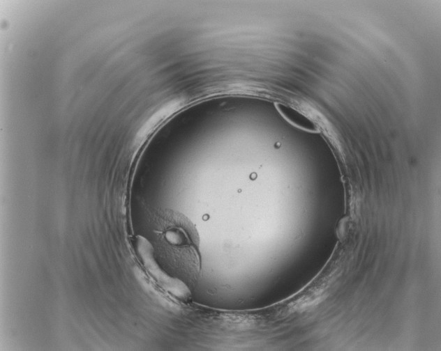 X0000086900954200704231150