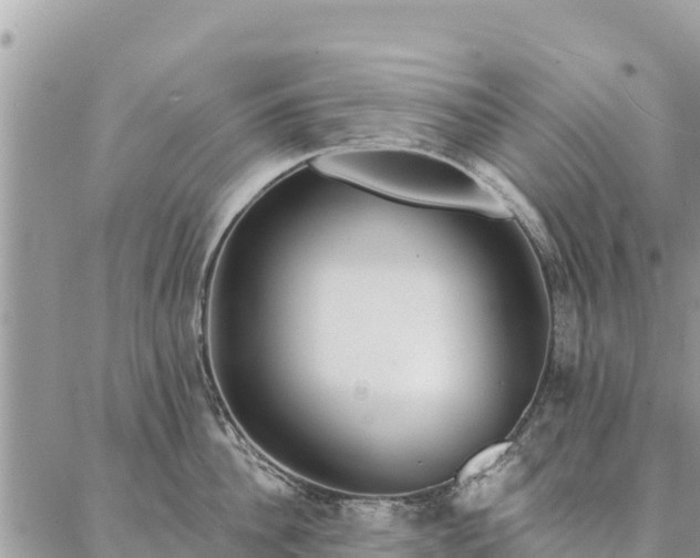 X0000086900956200704231150