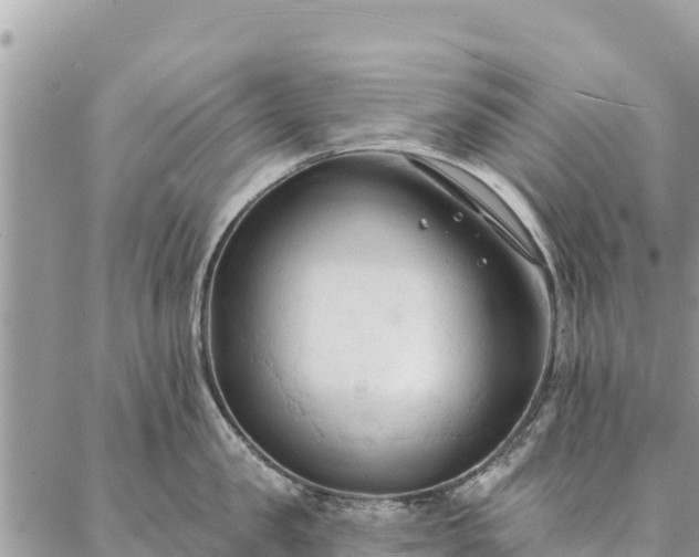 X0000086900957200704231150