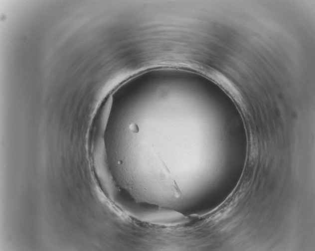 X0000086900958200704231150