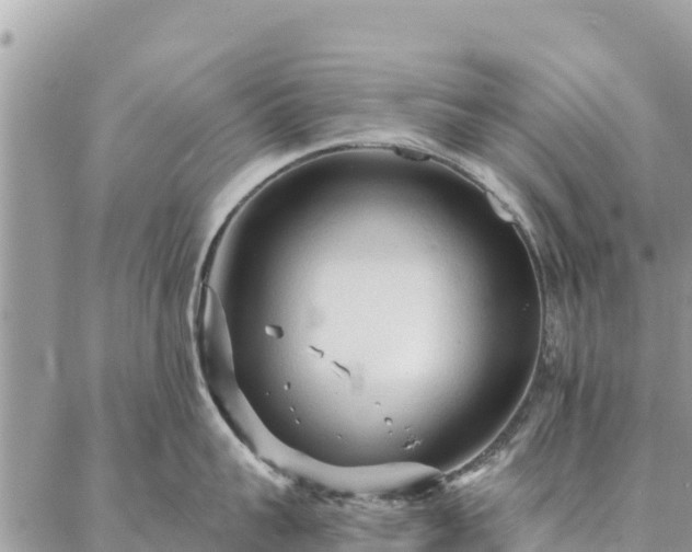 X0000086900959200704231150