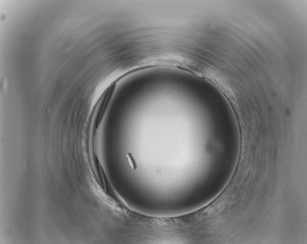 X0000086900960200704231150