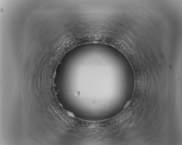 X0000086900961200704231149