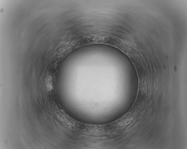 X0000086900962200704231149