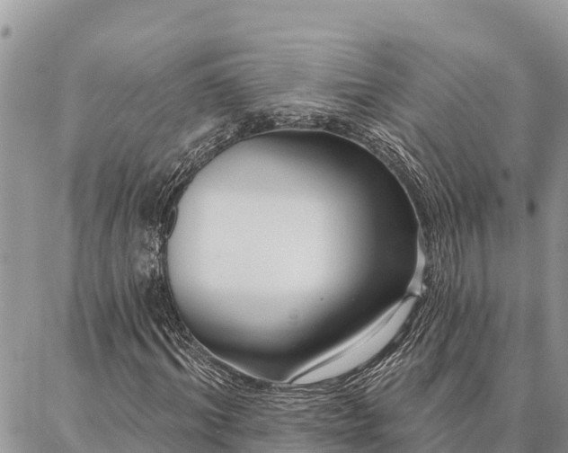 X0000086900964200704231149