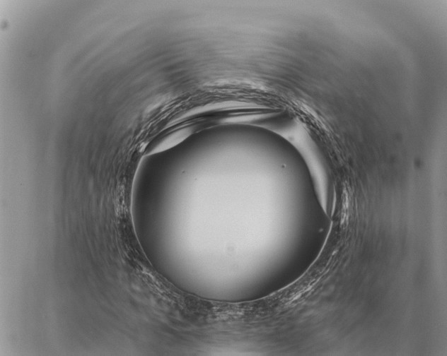 X0000086900965200704231149