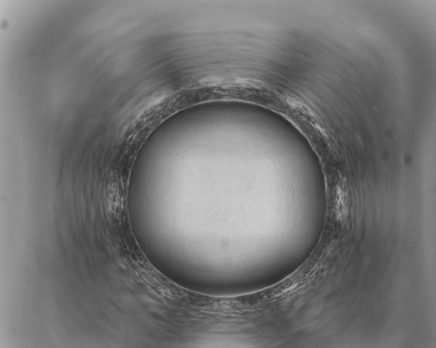 X0000086900966200704231149