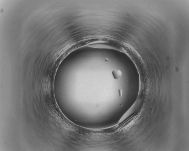 X0000086900969200704231149