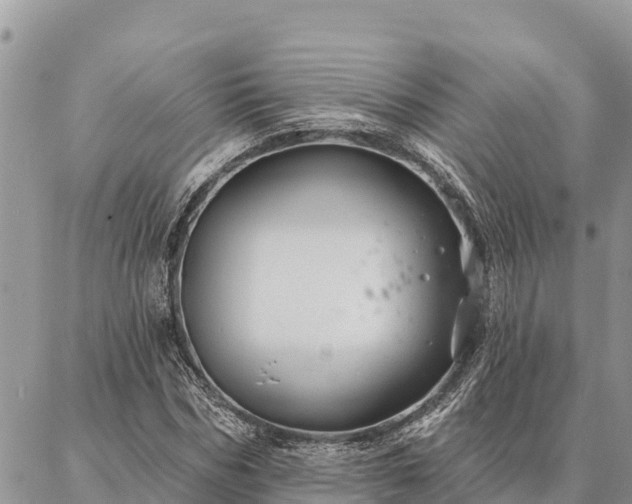 X0000086900970200704231149