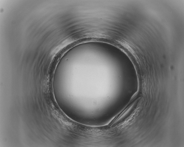 X0000086900971200704231149