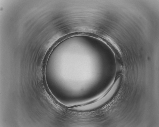 X0000086900972200704231149