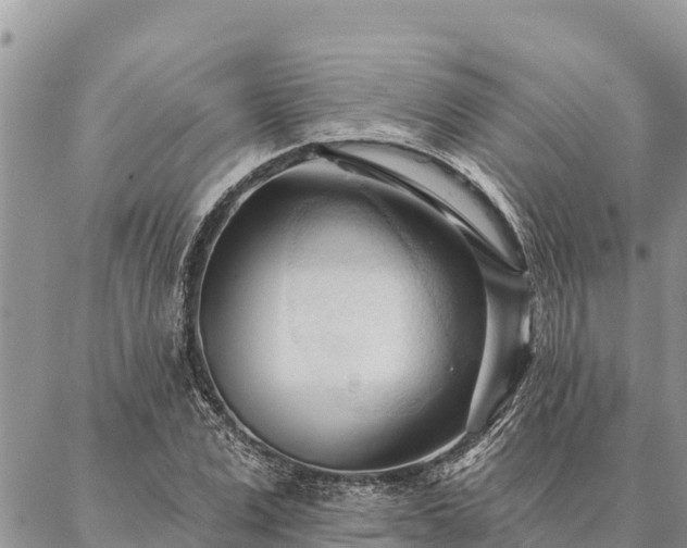 X0000086900975200704231149