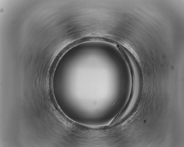 X0000086900976200704231149