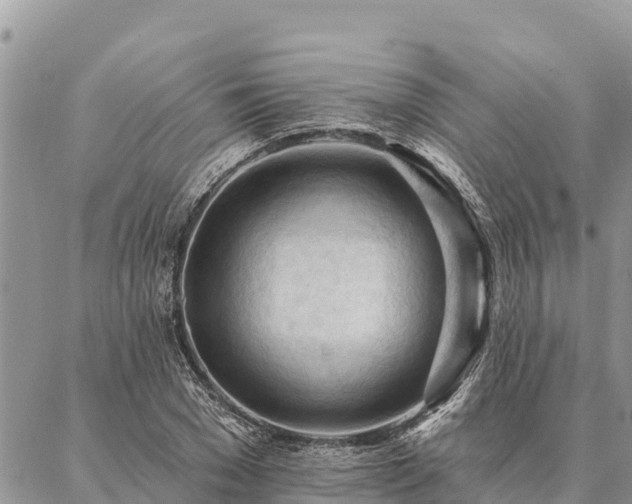 X0000086900977200704231149