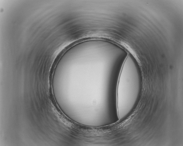 X0000086900980200704231149