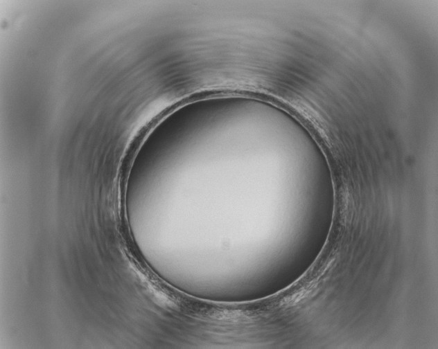 X0000086900982200704231149