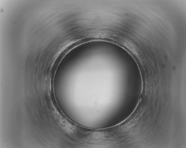 X0000086900984200704231149