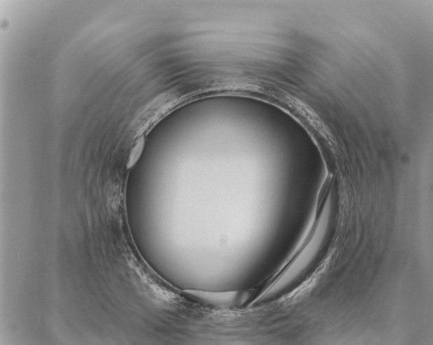 X0000086900985200704231149