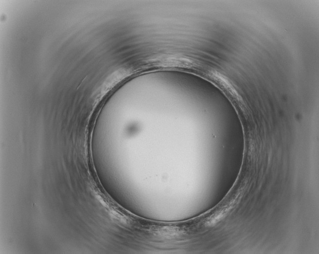 X0000086900986200704231149