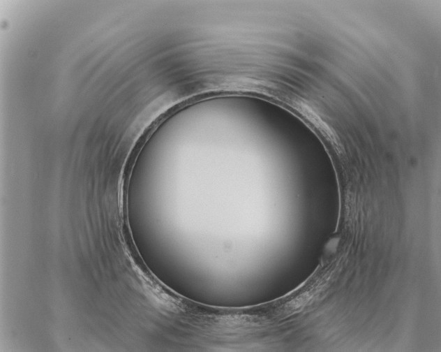 X0000086900988200704231149