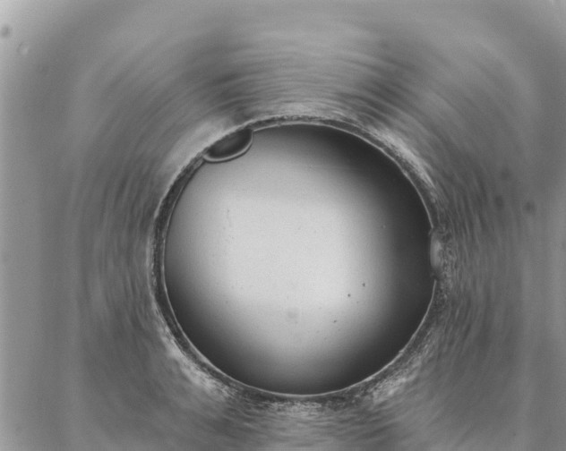 X0000086900991200704231149