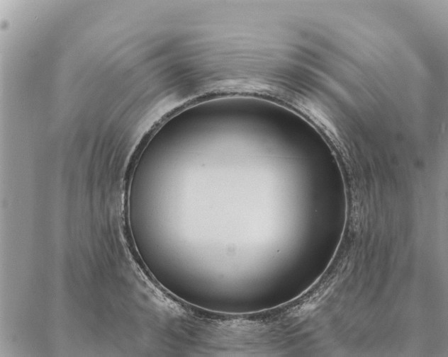 X0000086900992200704231149