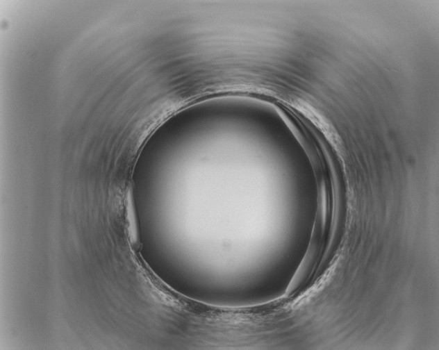 X0000086900993200704231149