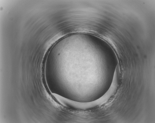 X0000086900995200704231148