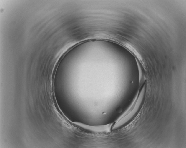 X0000086900996200704231148