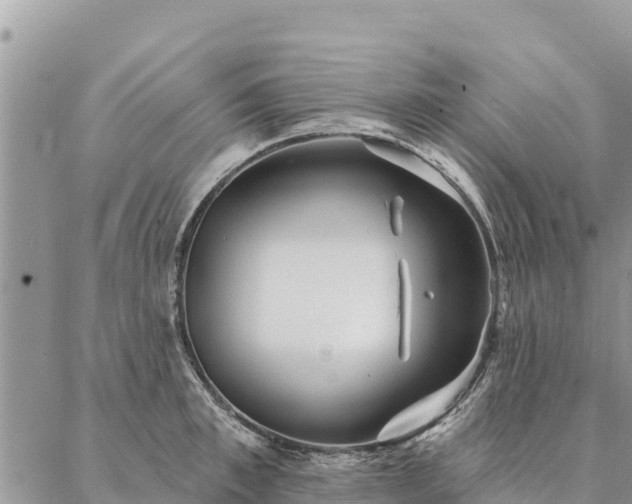 X0000086900997200704231148