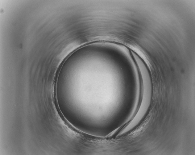 X0000086900999200704231148