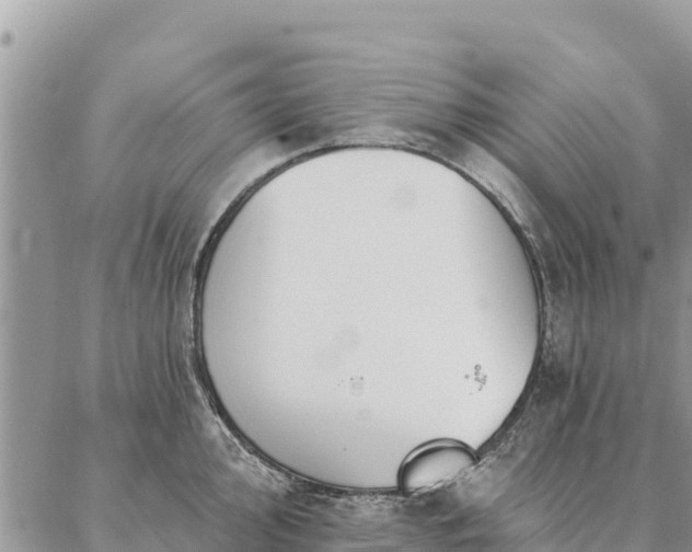 X0000086901000200704231148