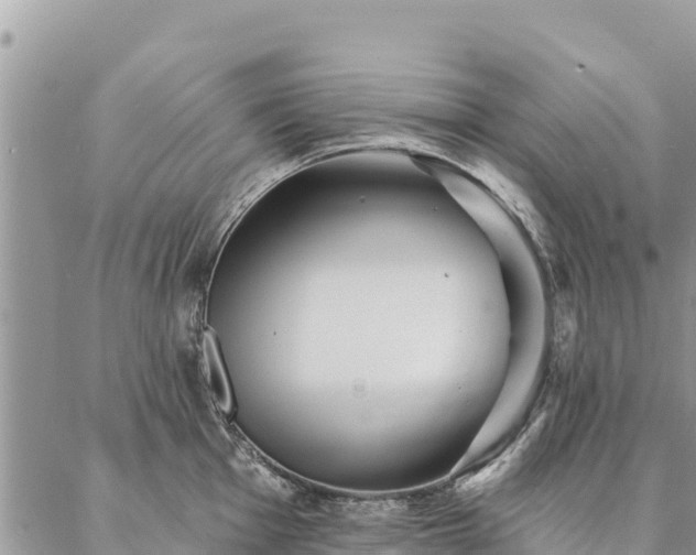 X0000086901001200704231148