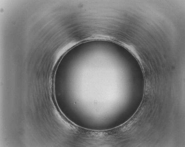 X0000086901003200704231148