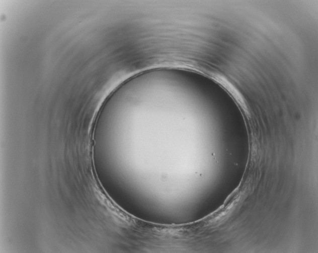 X0000086901004200704231148