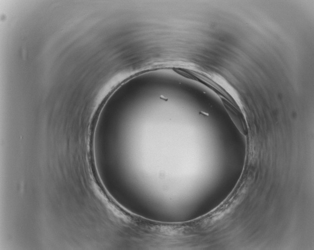 X0000086901005200704231148