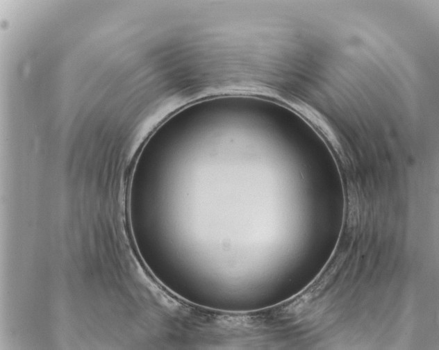 X0000086901006200704231148