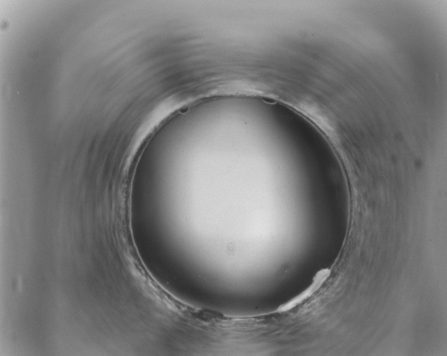 X0000086901008200704231148