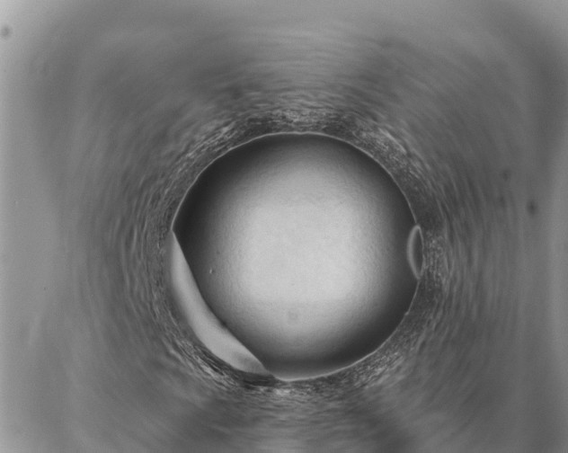 X0000086901009200704231147