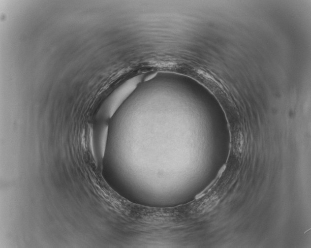 X0000086901010200704231148