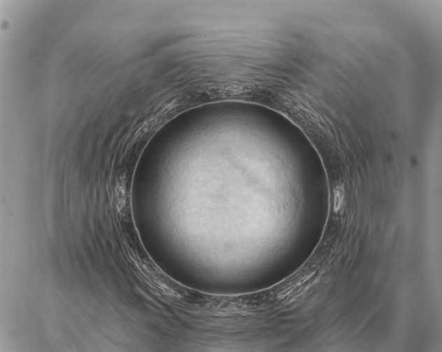 X0000086901011200704231148