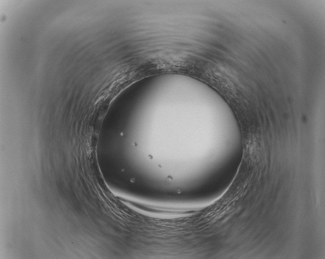 X0000086901012200704231148