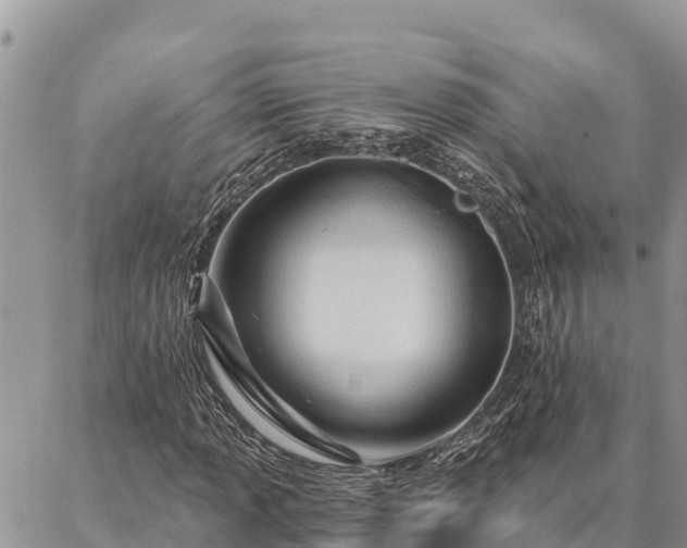 X0000086901013200704231148