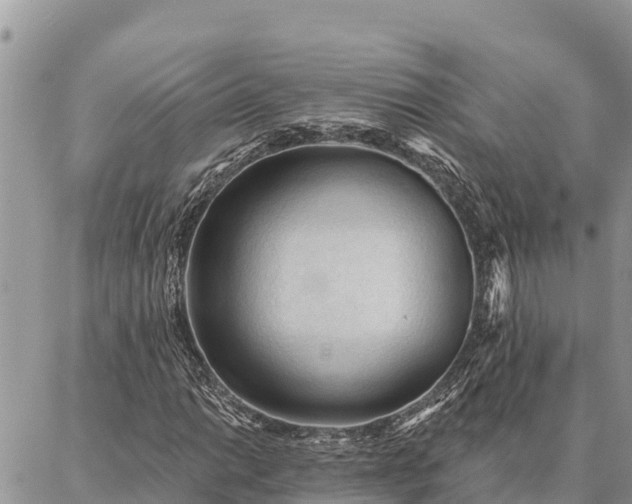 X0000086901014200704231148