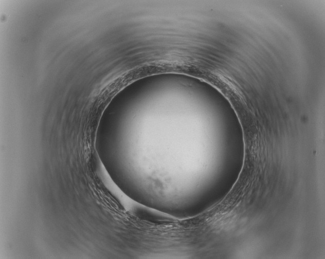 X0000086901015200704231148