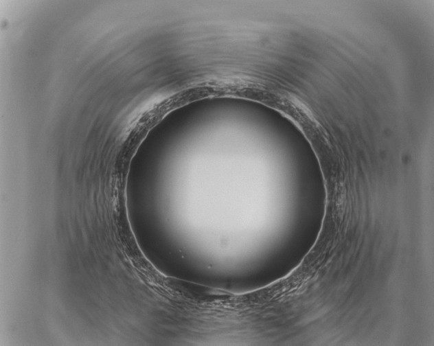 X0000086901016200704231148