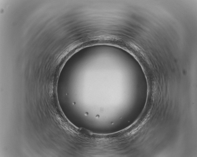 X0000086901017200704231148