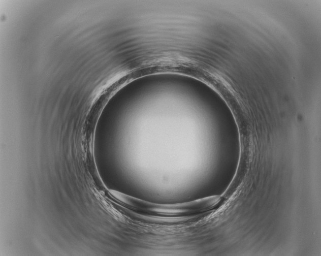 X0000086901018200704231148