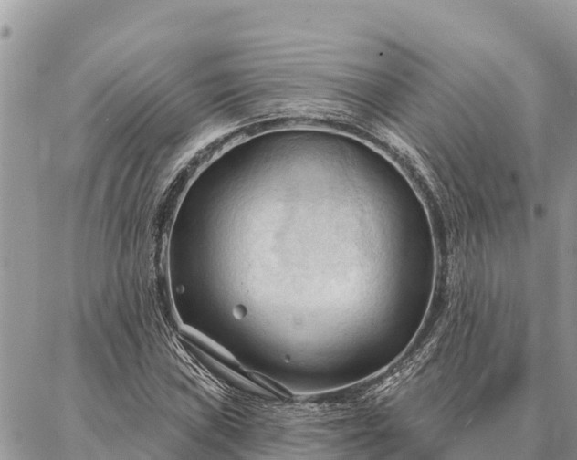 X0000086901019200704231148